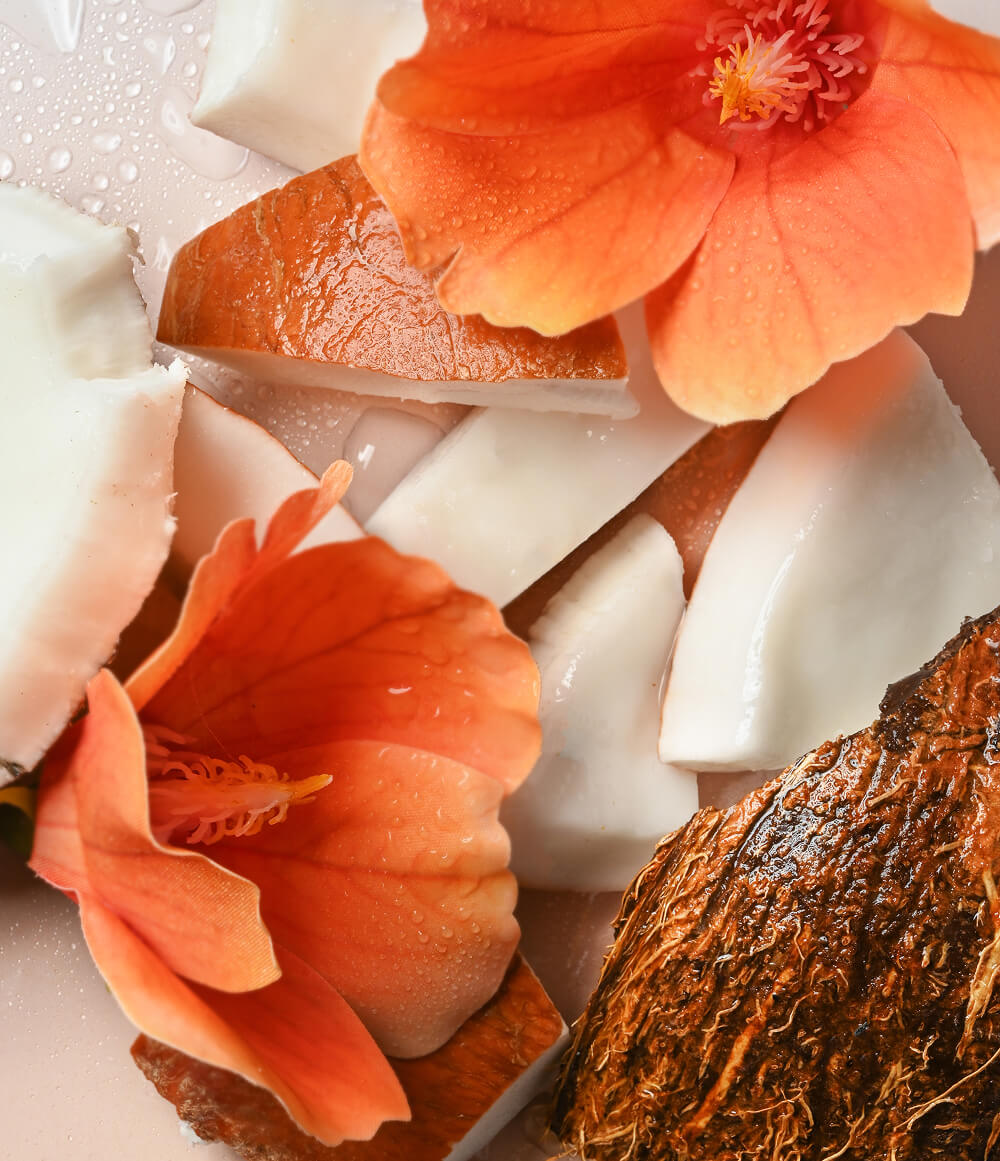 Coconut Waters Scent Layering Bundle